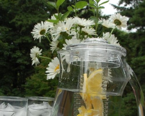 HOUSIVERSARY: Prodyne Fruit Infusion Flavor Pitcher, Clear, 93 oz.