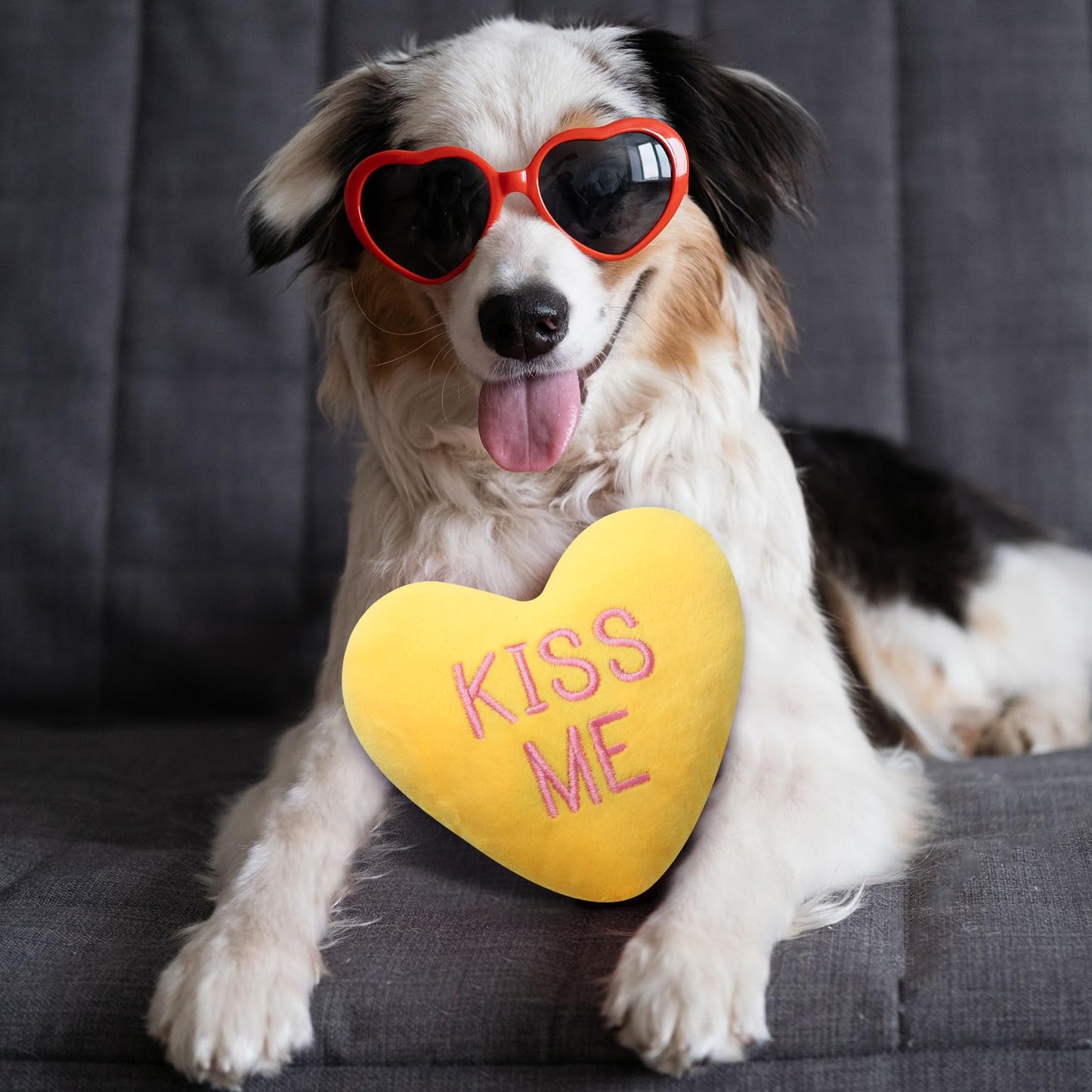 Syhood Set of 6 Valentine's Day Funny Dog Toy Stuffed Plush Squeaky Candy Heart Shaped Toys with Squeaker Dog Valentines Gift for Puppy Valentine, 6 Color, 6" Wide x 6" Tall