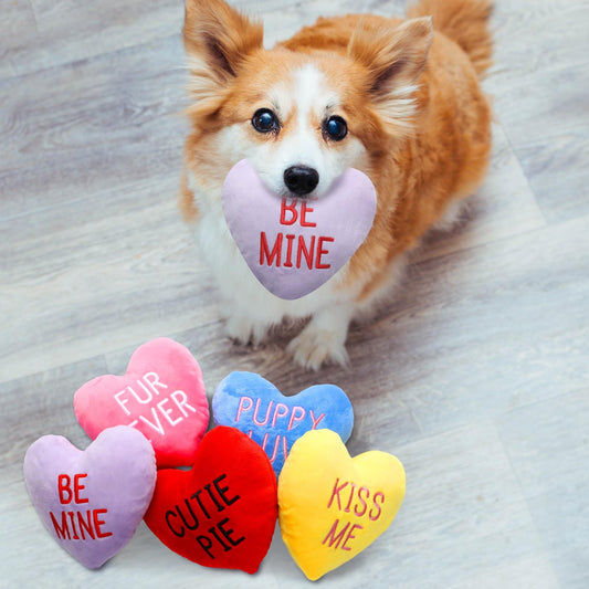 Syhood Set of 6 Valentine's Day Funny Dog Toy Stuffed Plush Squeaky Candy Heart Shaped Toys with Squeaker Dog Valentines Gift for Puppy Valentine, 6 Color, 6" Wide x 6" Tall