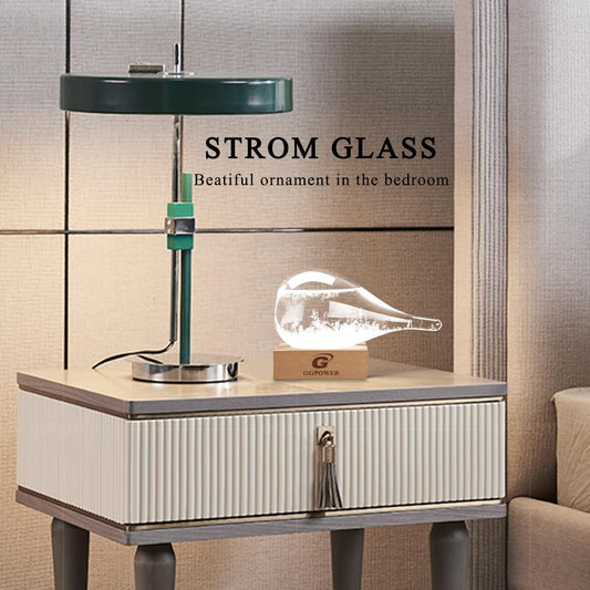 BIRTHDAY: Storm Glass Weather Predictor Snow Globe