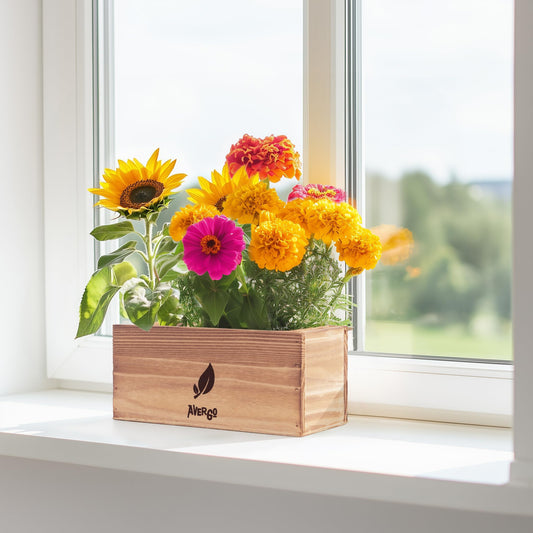 BIRTHDAY: Sunflower, Marigold & Zinnia Flower Seeds Growing Kit