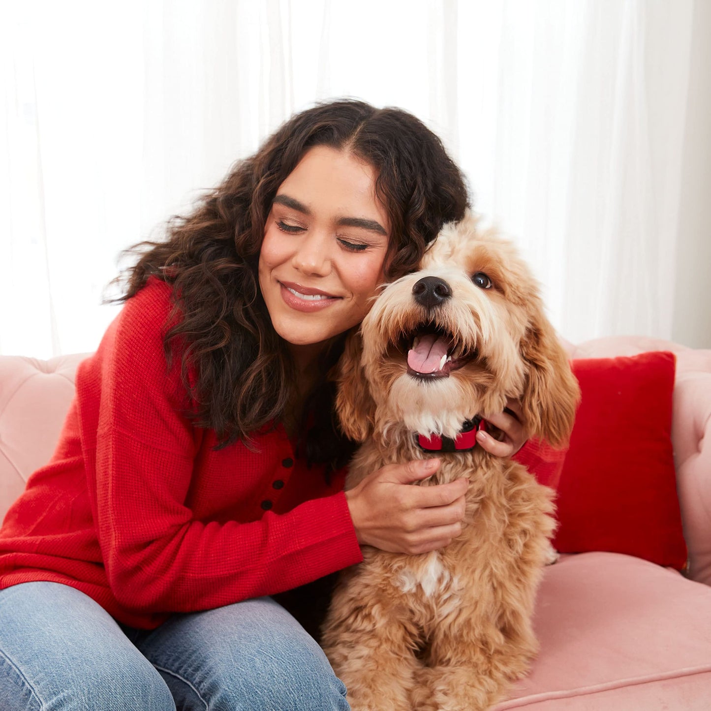 Milk-Bone Limited Edition Valentine's Sweetheart Snacks Mini’s Dog Treats, 25 Ounce (Pack of 1)