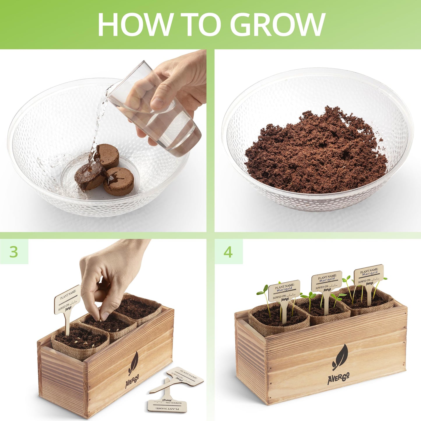 BIRTHDAY: Sunflower, Marigold & Zinnia Flower Seeds Growing Kit
