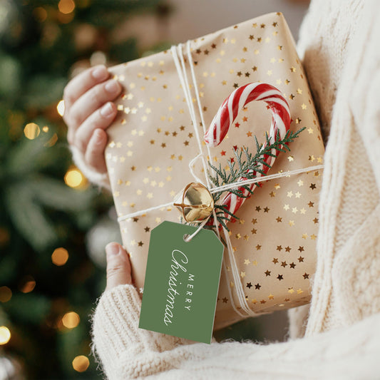 Modern Christmas Gift Tags (48 Labels and Ties)