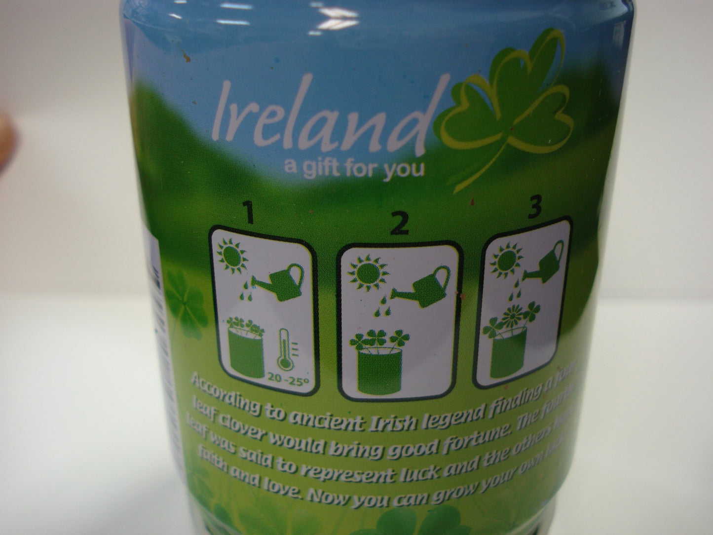 ST PATRICK'S DAY: Grow Your Own Luck 4 Leaf Clover Plant (Set of 2)