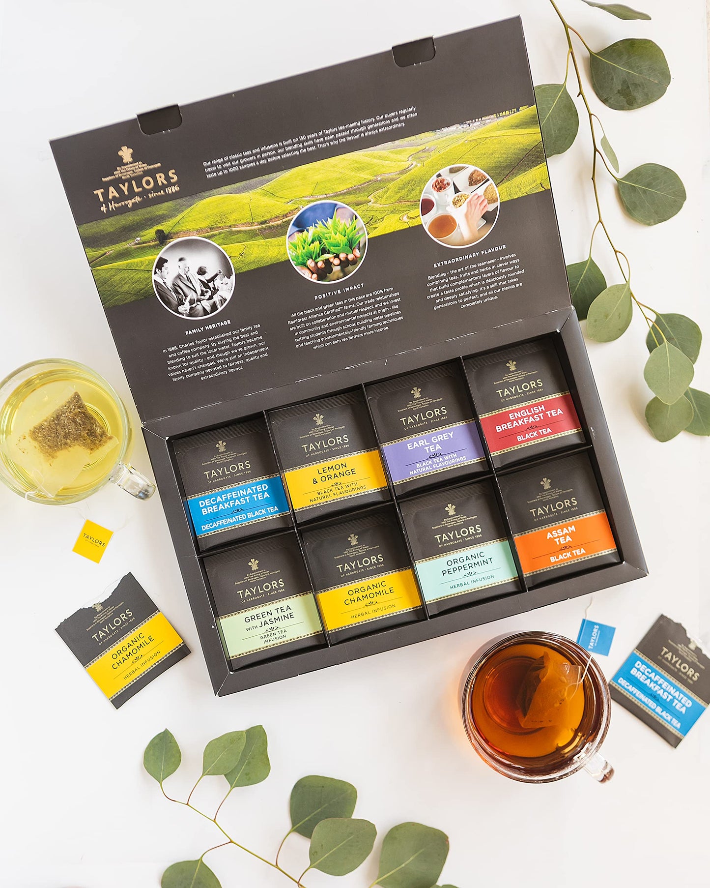 BIRTHDAY: Taylors of Harrogate Assorted Specialty Teas Box (48 count)