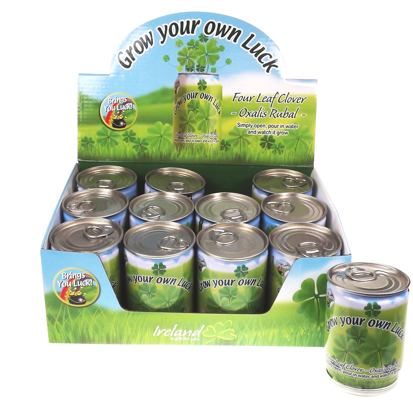 ST PATRICK'S DAY: Grow Your Own Luck 4 Leaf Clover Plant (Set of 2)