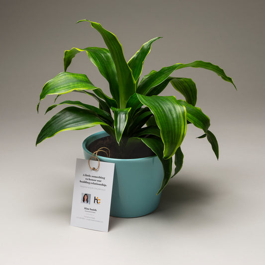 ANYTIME: Plant (10 Personalized Tags)