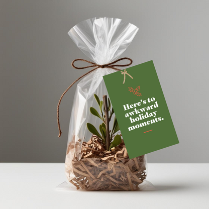 Holiday Pop By Tags - Mistletoe (Pack of 20)