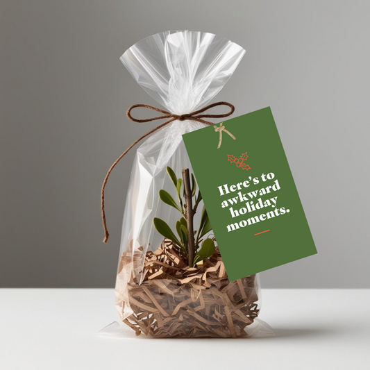 HOLIDAY: Mistletoe (10 Personalized Tags)