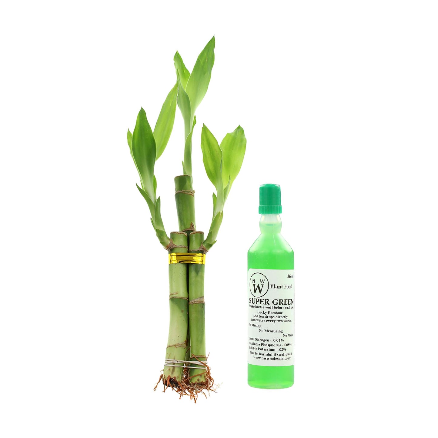 NEW LISTING: Live Lucky Bamboo 3 Stalk Arrangement with Bottle of Lucky Bamboo Fertilize