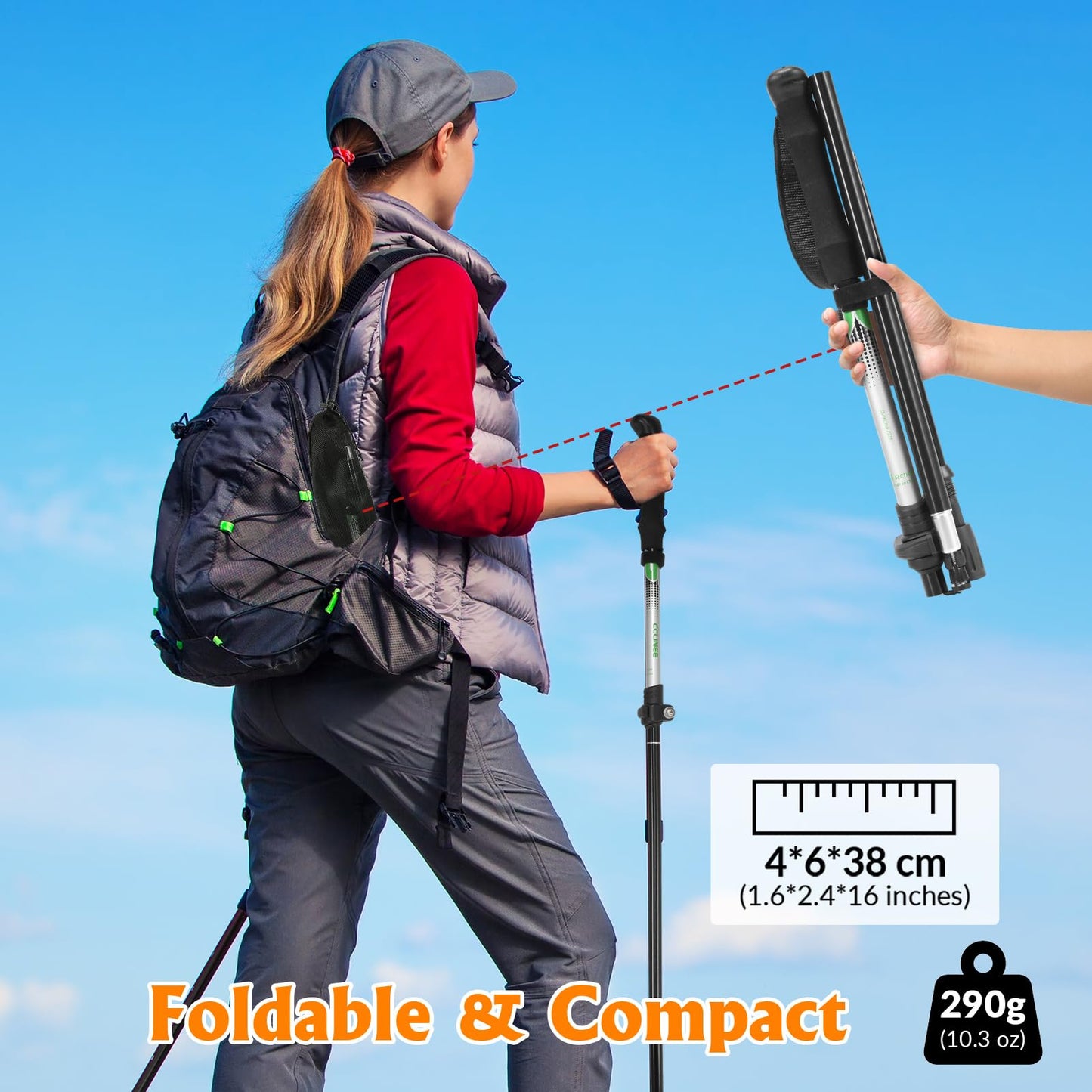 RETIREMENT: Travel Folding Trekking Hiking Pole with Carrying Case