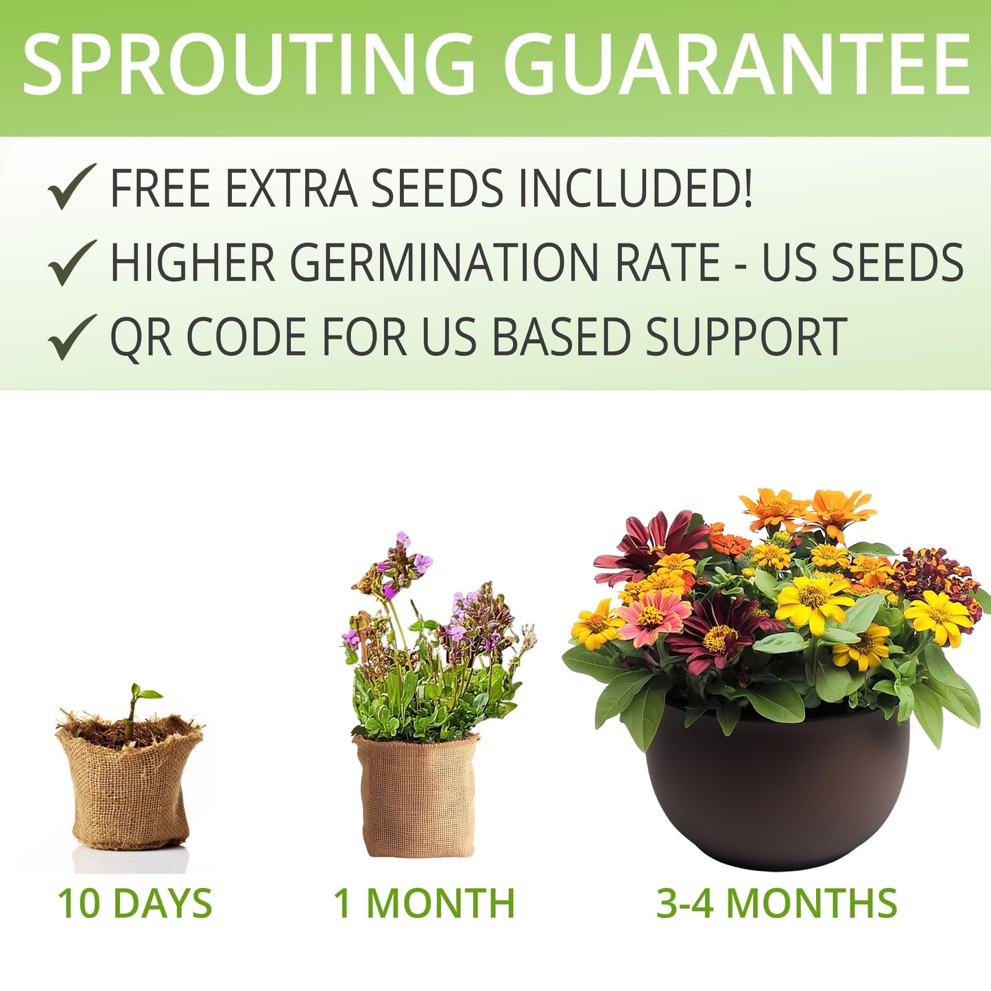 BIRTHDAY: Sunflower, Marigold & Zinnia Flower Seeds Growing Kit