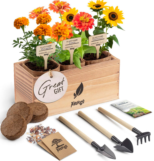 BIRTHDAY: Sunflower, Marigold & Zinnia Flower Seeds Growing Kit