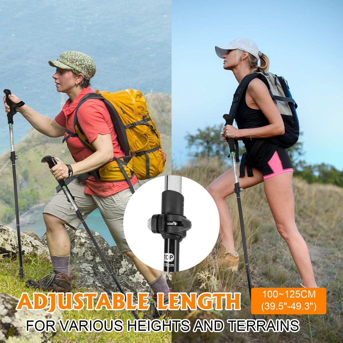 RETIREMENT: Travel Folding Trekking Hiking Pole with Carrying Case