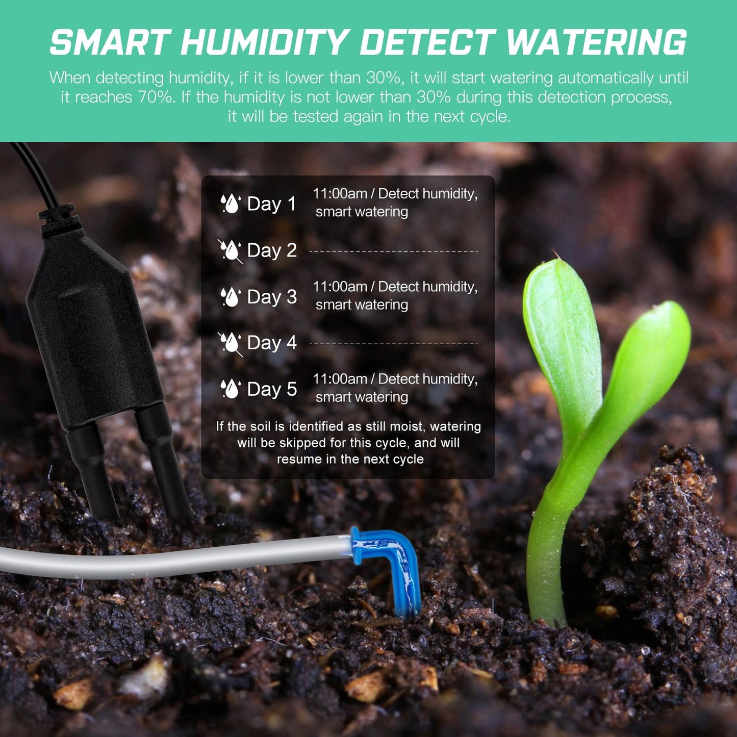 HOUSIVERSARY: Automatic Indoor Plant Watering System