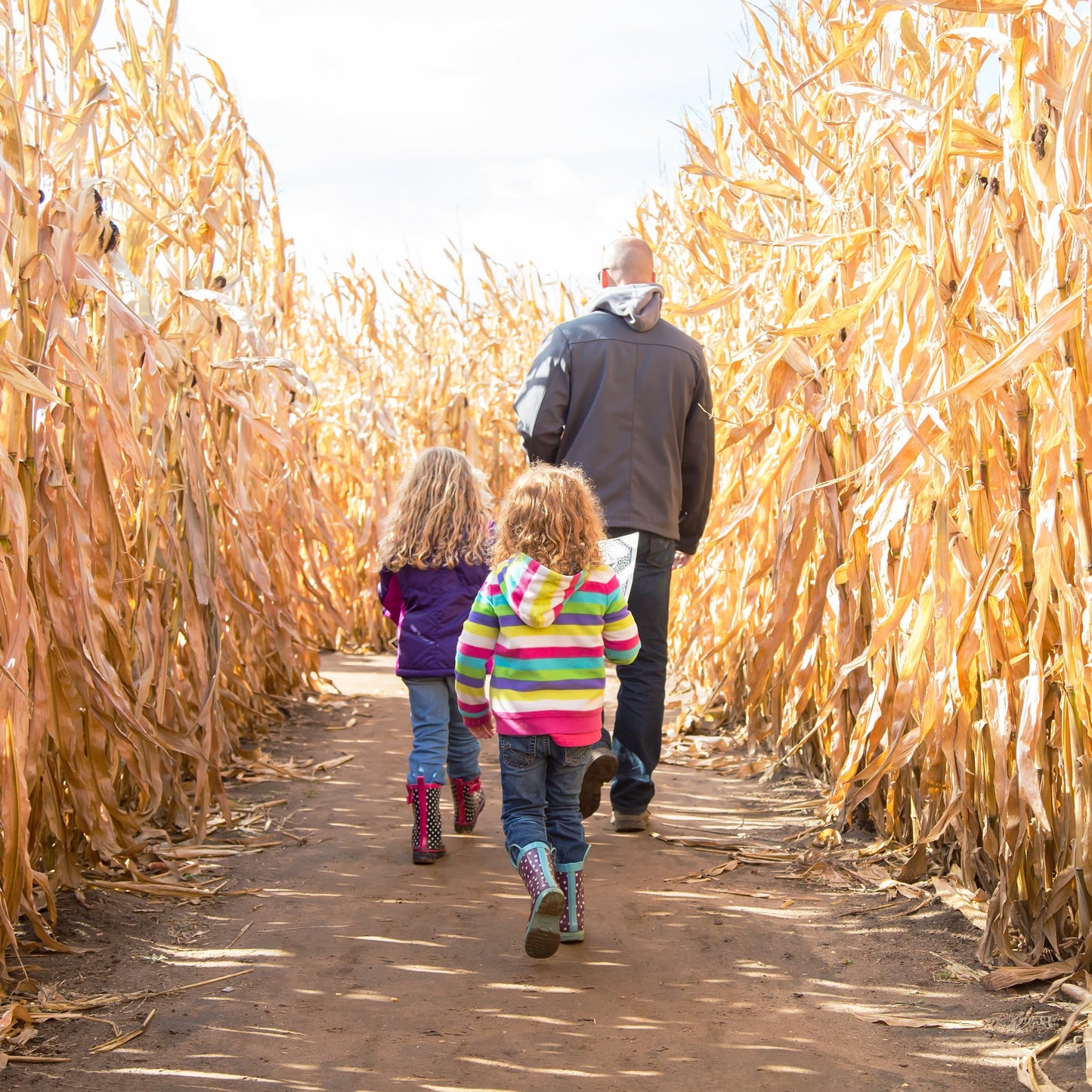 CLIENT APPRECIATION: Corn Maze (September)