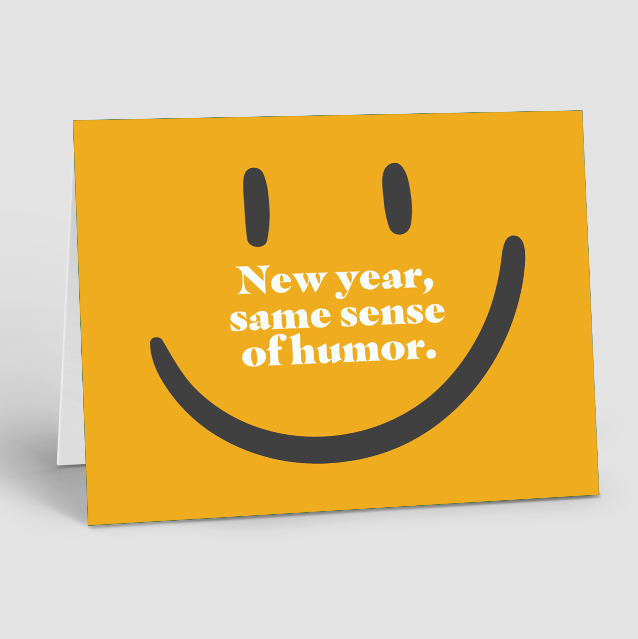 HOLIDAY: New Year, Same Humor (10 Personalized Cards)