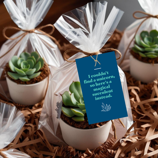 ANYTIME: Succulent (10 Personalized Tags)