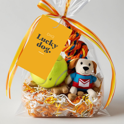 Anytime Pop Bys - Pet Toy (Pack of 20)